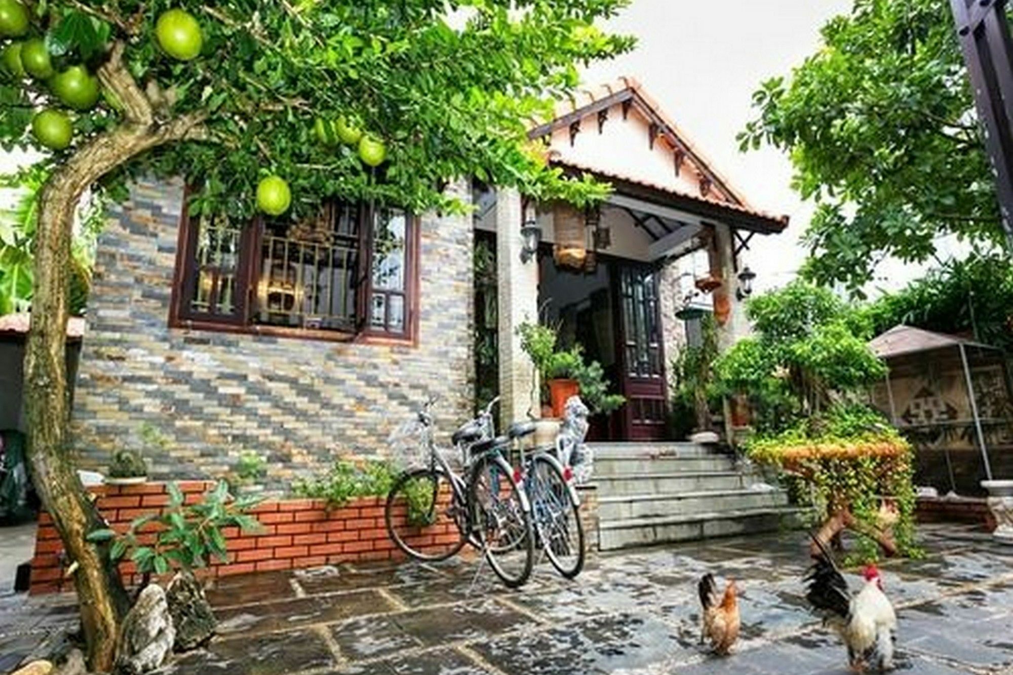 Bonsai Villa Hoi An Exteriér fotografie